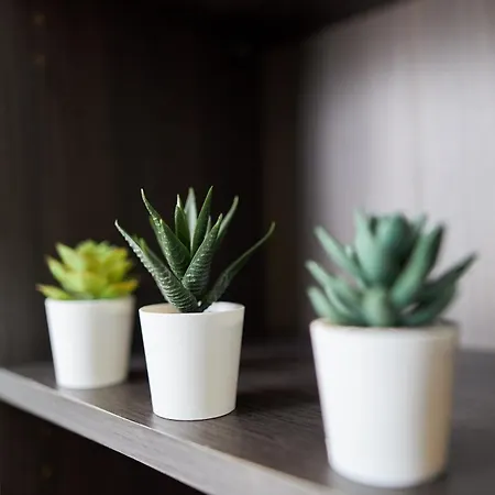 Lejlighed Le Petit Cernay - - 5 Mins Caves Champagne *