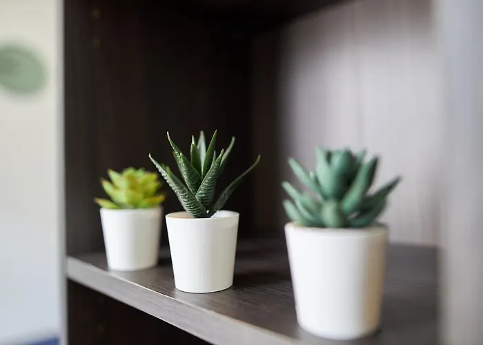 Apartment Le Petit Cernay - - 5 Mins Caves Champagne *